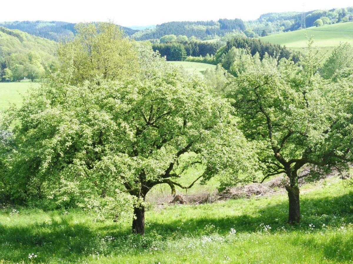 Kleine Villa Im Wilden Garten グンマースバッハ エクステリア 写真