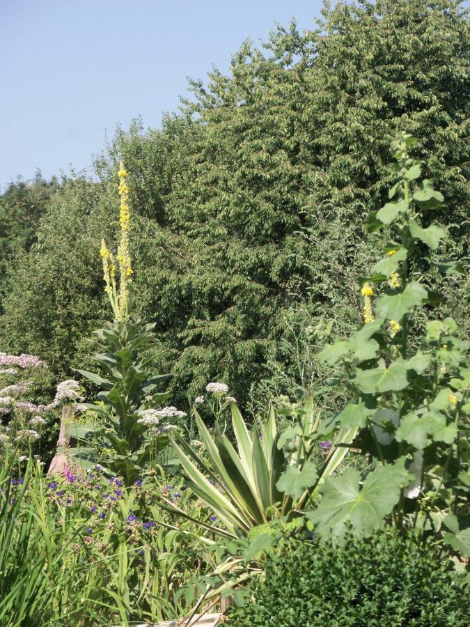 Kleine Villa Im Wilden Garten グンマースバッハ エクステリア 写真