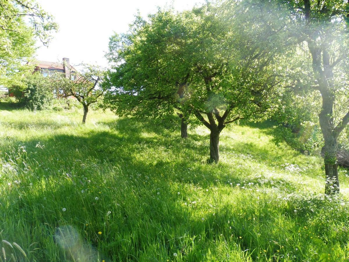 Kleine Villa Im Wilden Garten グンマースバッハ エクステリア 写真